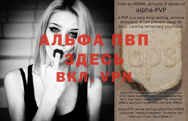 гашик Арсеньев