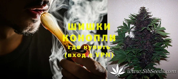 apvp Аркадак