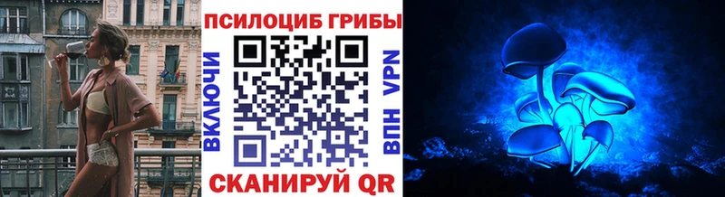 Купить  Мариинск  Галлюциногенные грибы Magic Shrooms 